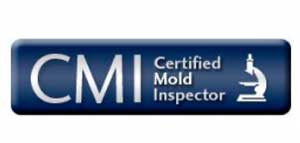Mold Remediation